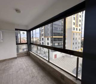 img_8081_original_copy_1